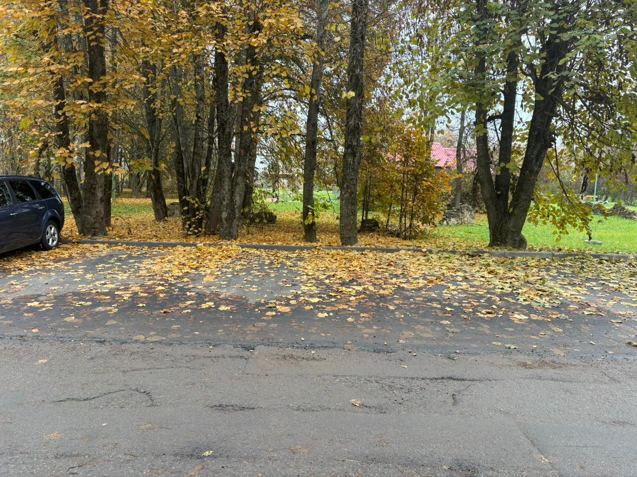 photo-2025-10-29-11-09-33-1